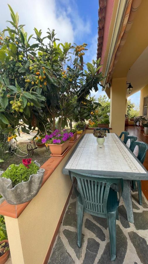 Bed and Breakfast La Mansarda Biancareddu Zewnętrze zdjęcie